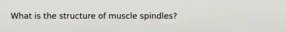 What is the structure of muscle spindles?