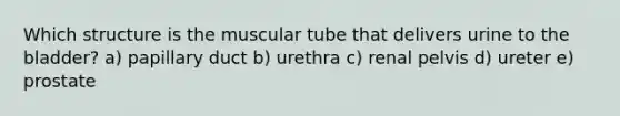 Which structure is the muscular tube that delivers urine to the bladder? a) papillary duct b) urethra c) renal pelvis d) ureter e) prostate