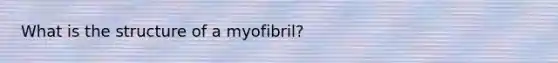 What is the structure of a myofibril?