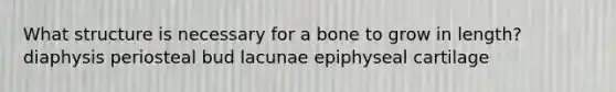 What structure is necessary for a bone to grow in length? diaphysis periosteal bud lacunae epiphyseal cartilage