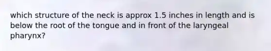 which structure of the neck is approx 1.5 inches in length and is below the root of the tongue and in front of the laryngeal pharynx?