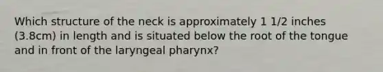 Which structure of the neck is approximately 1 1/2 inches (3.8cm) in length and is situated below the root of the tongue and in front of the laryngeal pharynx?