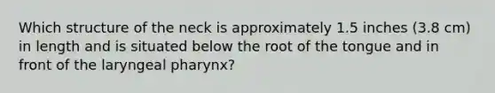 Which structure of the neck is approximately 1.5 inches (3.8 cm) in length and is situated below the root of the tongue and in front of the laryngeal pharynx?