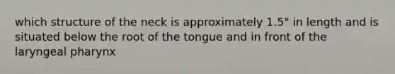 which structure of the neck is approximately 1.5" in length and is situated below the root of the tongue and in front of the laryngeal pharynx