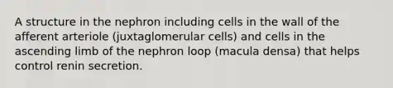 A structure in the nephron including cells in the wall of the afferent arteriole (juxtaglomerular cells) and cells in the ascending limb of the nephron loop (macula densa) that helps control renin secretion.