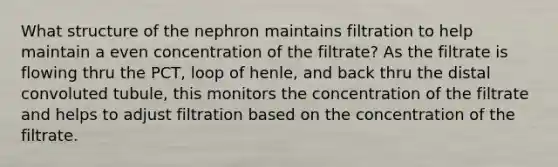 What structure of the nephron maintains filtration to help maintain a even concentration of the filtrate? As the filtrate is flowing thru the PCT, loop of henle, and back thru the distal convoluted tubule, this monitors the concentration of the filtrate and helps to adjust filtration based on the concentration of the filtrate.