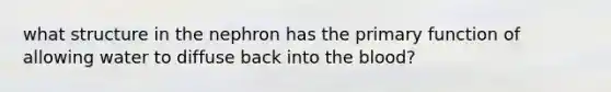 what structure in the nephron has the primary function of allowing water to diffuse back into <a href='https://www.questionai.com/knowledge/k7oXMfj7lk-the-blood' class='anchor-knowledge'>the blood</a>?