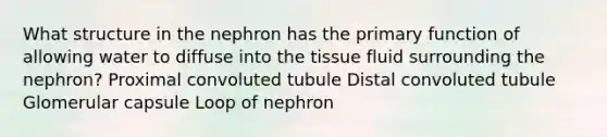 What structure in the nephron has the primary function of allowing water to diffuse into the tissue fluid surrounding the nephron? Proximal convoluted tubule Distal convoluted tubule Glomerular capsule Loop of nephron