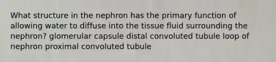 What structure in the nephron has the primary function of allowing water to diffuse into the tissue fluid surrounding the nephron? glomerular capsule distal convoluted tubule loop of nephron proximal convoluted tubule