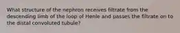 What structure of the nephron receives filtrate from the descending limb of the loop of Henle and passes the filtrate on to the distal convoluted tubule?