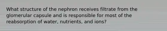 What structure of the nephron receives filtrate from the glomerular capsule and is responsible for most of the reabsorption of water, nutrients, and ions?