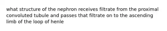 what structure of the nephron receives filtrate from the proximal convoluted tubule and passes that filtrate on to the ascending limb of the loop of henle