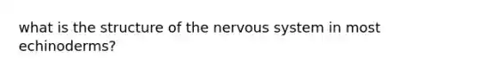 what is the structure of the nervous system in most echinoderms?