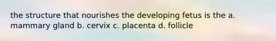 the structure that nourishes the developing fetus is the a. mammary gland b. cervix c. placenta d. follicle