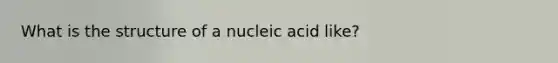 What is the structure of a nucleic acid like?