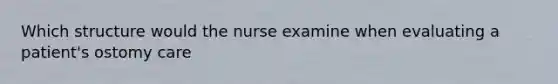 Which structure would the nurse examine when evaluating a patient's ostomy care