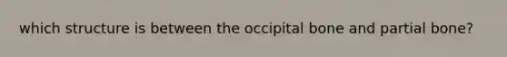 which structure is between the occipital bone and partial bone?