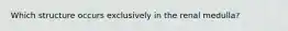 Which structure occurs exclusively in the renal medulla?
