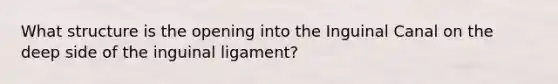 What structure is the opening into the Inguinal Canal on the deep side of the inguinal ligament?