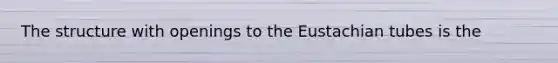 The structure with openings to the Eustachian tubes is the