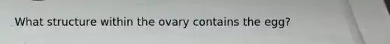 What structure within the ovary contains the egg?