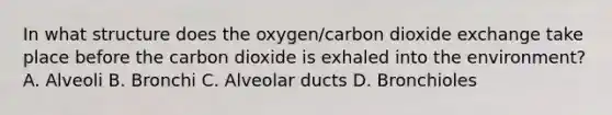 In what structure does the​ oxygen/carbon dioxide exchange take place before the carbon dioxide is exhaled into the​ environment? A. Alveoli B. Bronchi C. Alveolar ducts D. Bronchioles