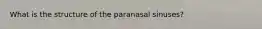 What is the structure of the paranasal sinuses?