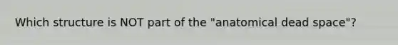 Which structure is NOT part of the "anatomical dead space"?