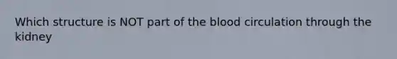 Which structure is NOT part of the blood circulation through the kidney