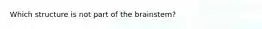 Which structure is not part of the brainstem?