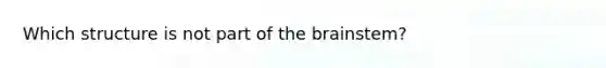 Which structure is not part of the brainstem?