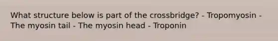 What structure below is part of the crossbridge? - Tropomyosin - The myosin tail - The myosin head - Troponin