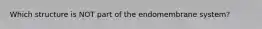 Which structure is NOT part of the endomembrane system?