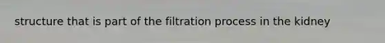 structure that is part of the filtration process in the kidney