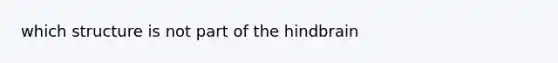 which structure is not part of the hindbrain