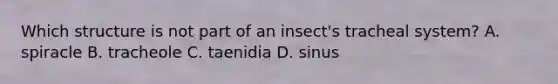 Which structure is not part of an insect's tracheal system? A. spiracle B. tracheole C. taenidia D. sinus