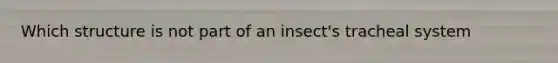 Which structure is not part of an insect's tracheal system