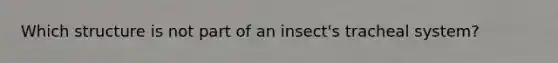 Which structure is not part of an insect's tracheal system?