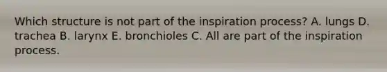 Which structure is not part of the inspiration process? A. lungs D. trachea B. larynx E. bronchioles C. All are part of the inspiration process.