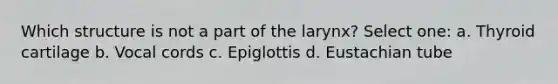 Which structure is not a part of the larynx? Select one: a. Thyroid cartilage b. Vocal cords c. Epiglottis d. Eustachian tube