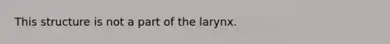 This structure is not a part of the larynx.