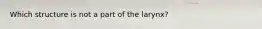 Which structure is not a part of the larynx?