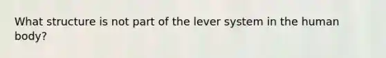 What structure is not part of the lever system in the human body?