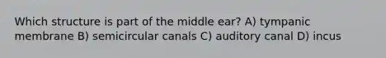 Which structure is part of the middle ear? A) tympanic membrane B) semicircular canals C) auditory canal D) incus