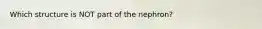 Which structure is NOT part of the nephron?