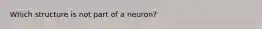 Which structure is not part of a neuron?