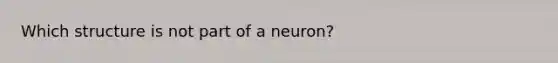 Which structure is not part of a neuron?