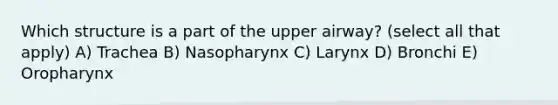 Which structure is a part of the upper airway? (select all that apply) A) Trachea B) Nasopharynx C) Larynx D) Bronchi E) Oropharynx