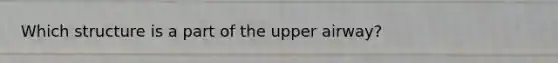 Which structure is a part of the upper airway?