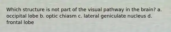 Which structure is not part of the visual pathway in the brain? a. occipital lobe b. optic chiasm c. lateral geniculate nucleus d. frontal lobe